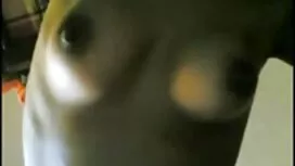 امرأة سمراء فاخرة ،  ...