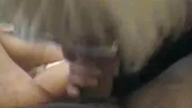 مذهلة الثلاثي على اف ...