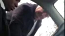 جوارب شبكة صيد السمك ...