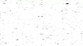 العميل لديه لطيفة اخ ...