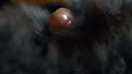 الجنس جنس عربي مترجم ...