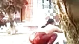 ثلاثة الجنس الفاخرة  ...